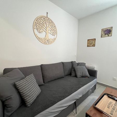 Fenix Appartement T2 40 M2 Cosy Rdc Plein Centre Ville Pierrelatte Dış mekan fotoğraf